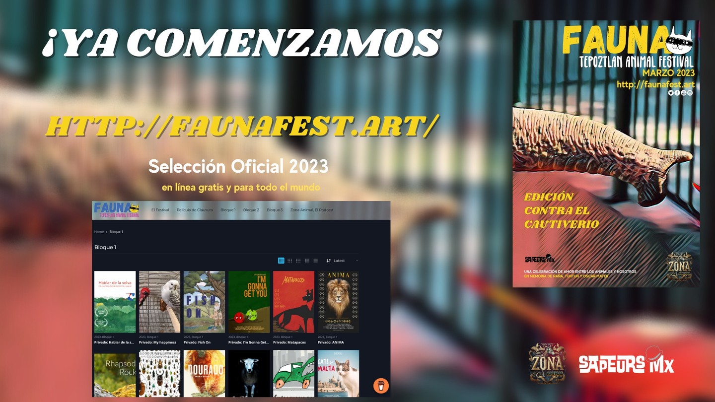 Del 23 al 26, todo el FAUNA Tepoztlán Animal Festival gratis y en línea!
http://faunafest.art/
#ContraelCautiverio #FAUNATepoz2023 #AltoalMaltratoAnimal #adoptanocompres