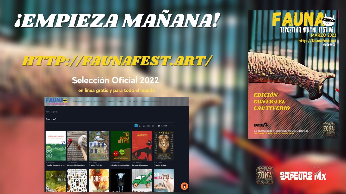 A partir de mañana, podrás ver todas las películas de manera gratuita en nuestra página web oficial: http://faunafest.art/
Estamos muy emocionados de ver las películas que se presentarán este año y estamos seguros de que habrá muchas historias inspiradoras que nos ayudarán a comprender la importancia de respetar y proteger a los animales silvestres.
Gracias por unirse a nosotros en esta importante lucha por la conservación de la vida silvestre. ¡Que comience el festival!
#ContraelCautiverio #FAUNATepoz2023 #AltoalMaltratoAnimal #adoptanocompres